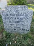 image of grave number 481031